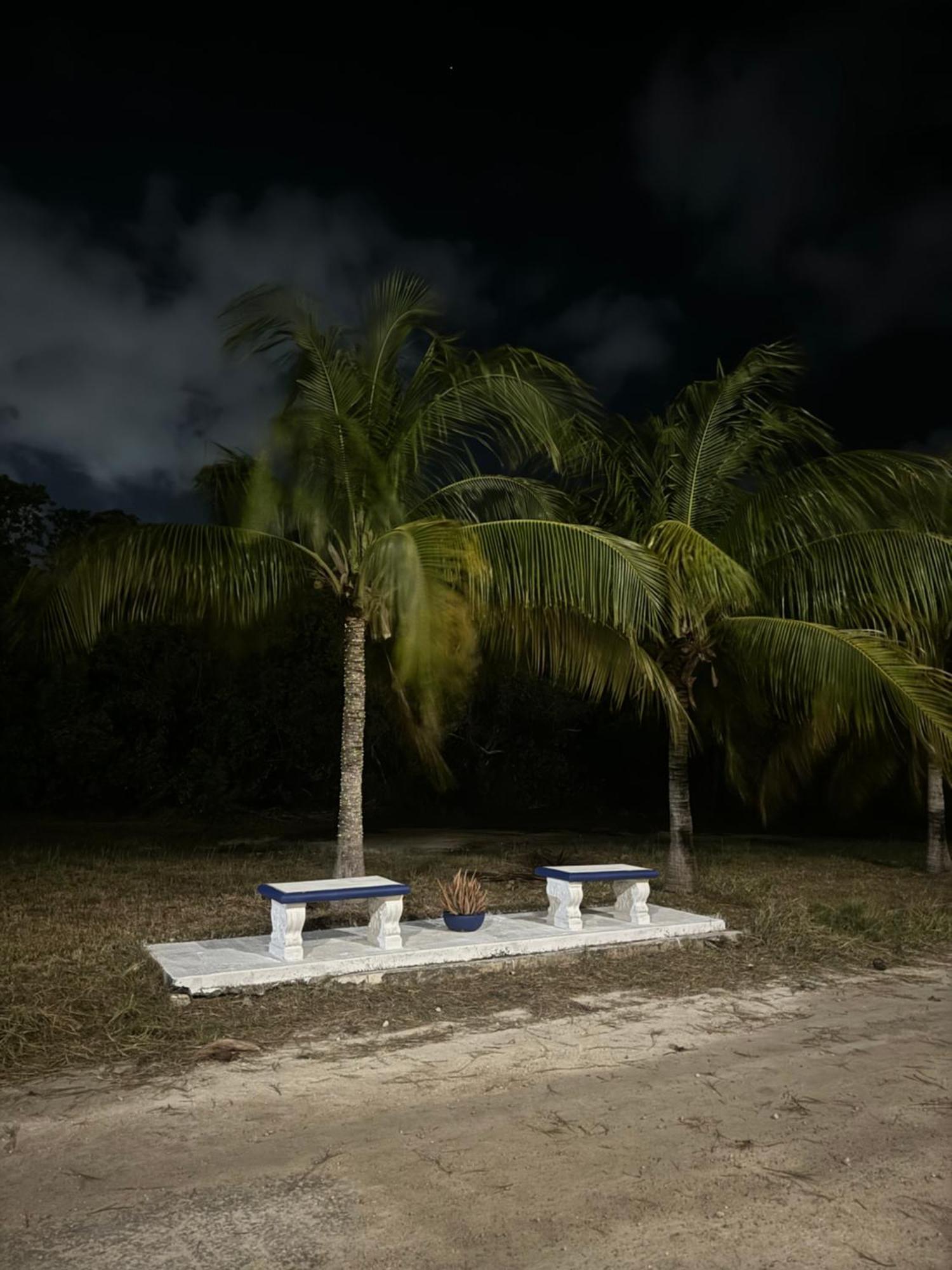 Caribbean Queen Cancun Bagian luar foto
